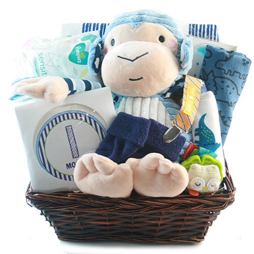 Welcome Baby Bassinet, New Baby Girl Gift Basket