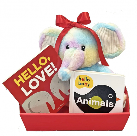 baby library gift set