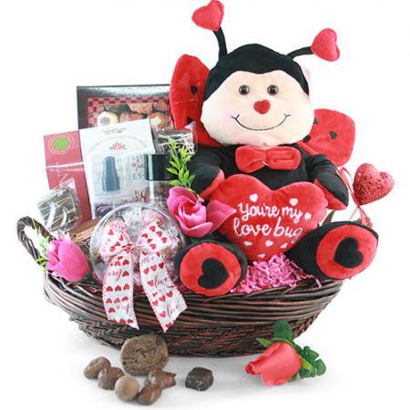 love bug valentines day gift