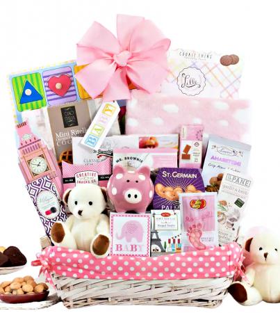 Welcome baby girl gift baskets